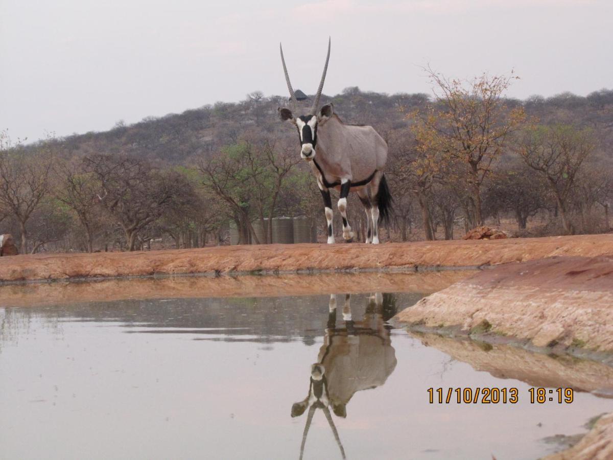 Okutala Etosha Lodge Outjo Extérieur photo